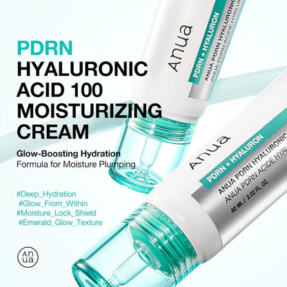Anua | PDRN Hyaluronic Acid 100 Moisturizing Cream