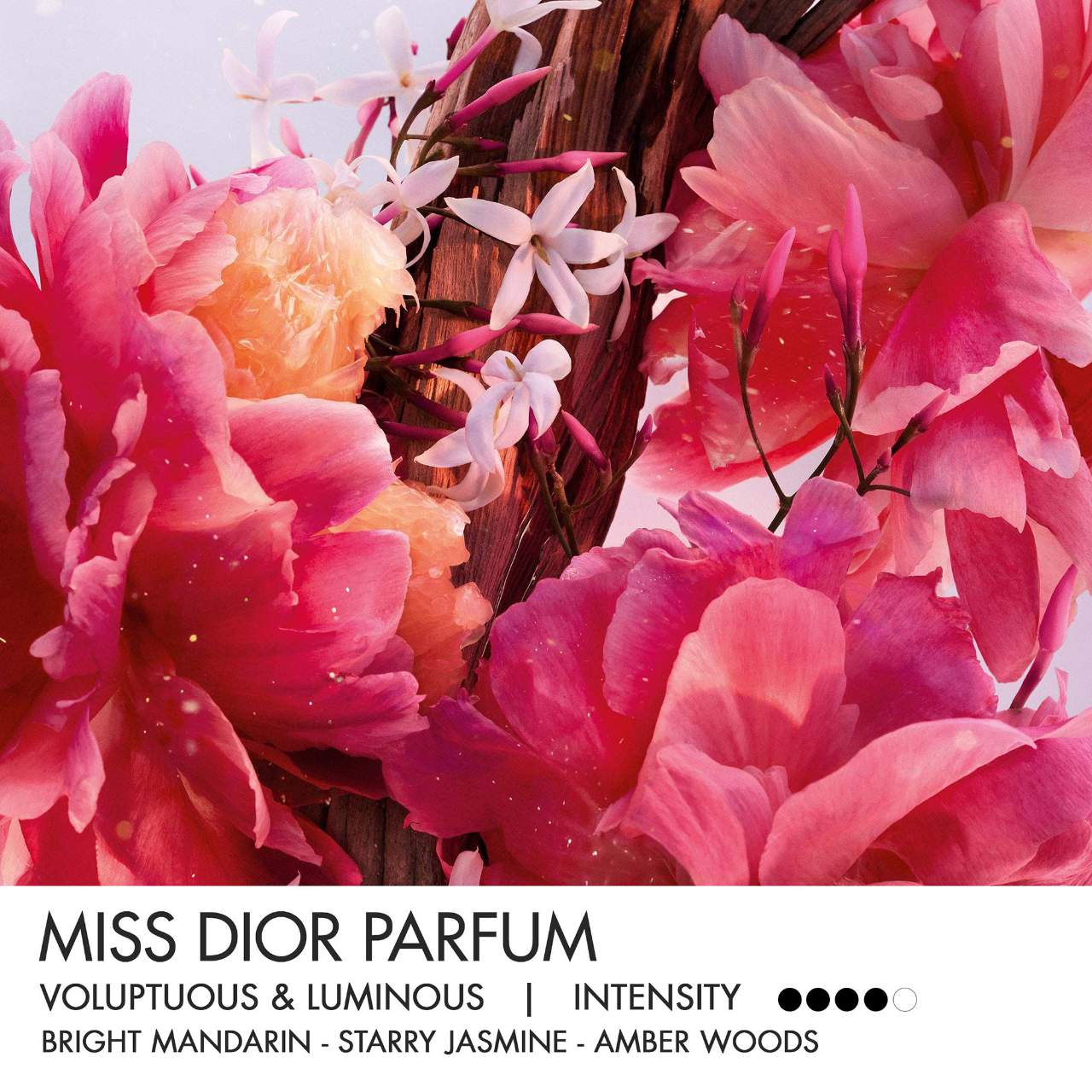 Dior | Miss Dior Parfum
