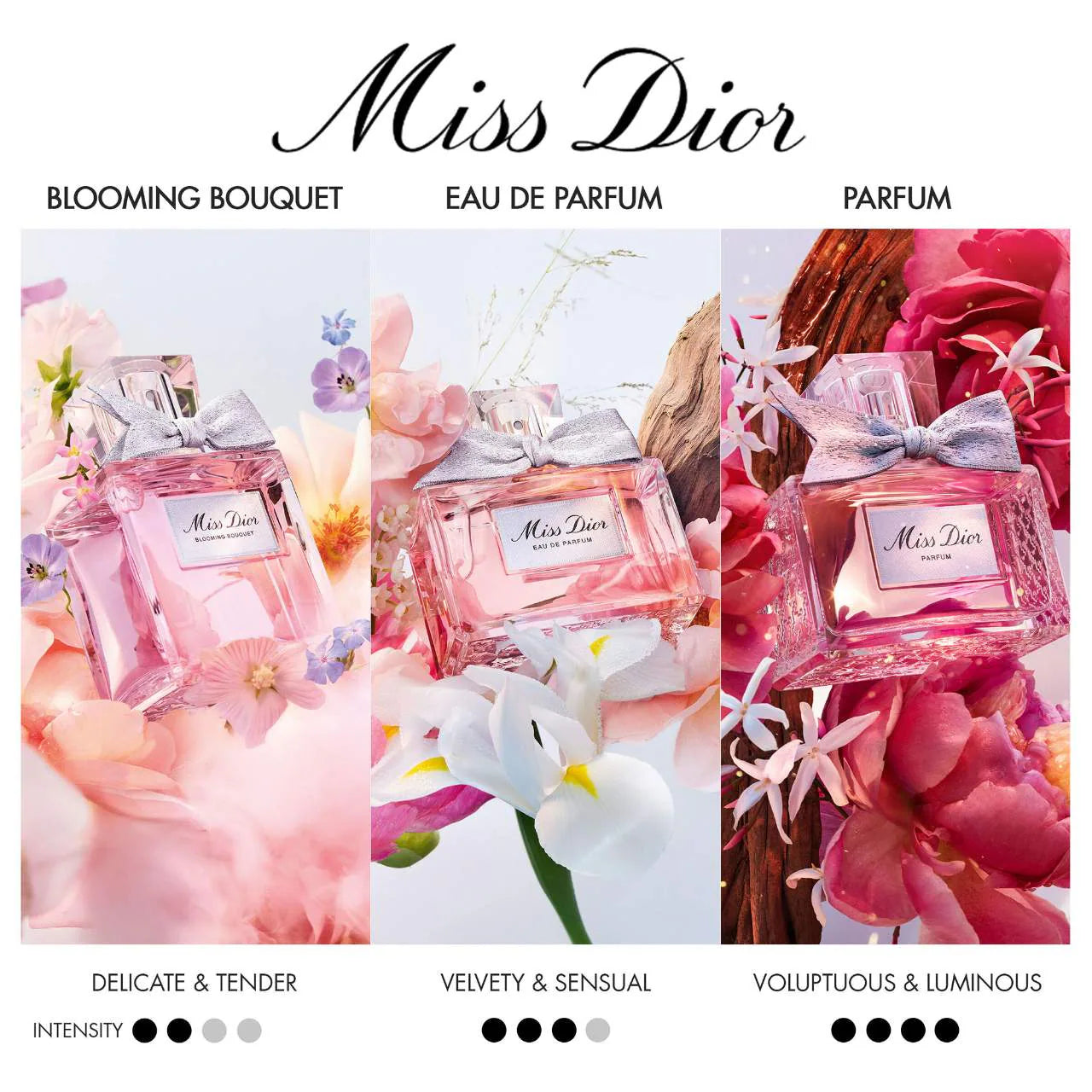 Dior | Miss Dior Blooming Bouquet Roller-pearl