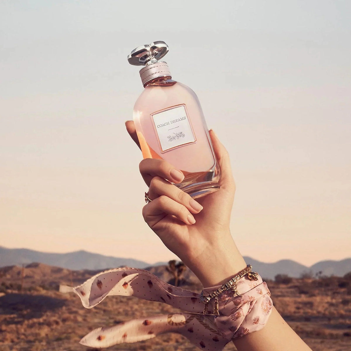 Coach | New York Dreams Women Eau De Parfum